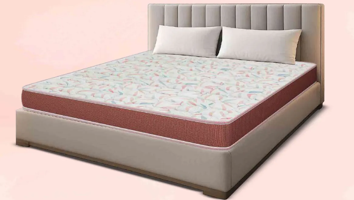 Centuary Back Pro mattress