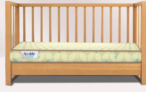 Centuary Beddy Blossom kids mattress