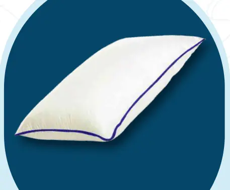 Centuary Max Fibre Pillow