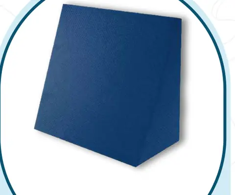 Centuary Wedge Pillow