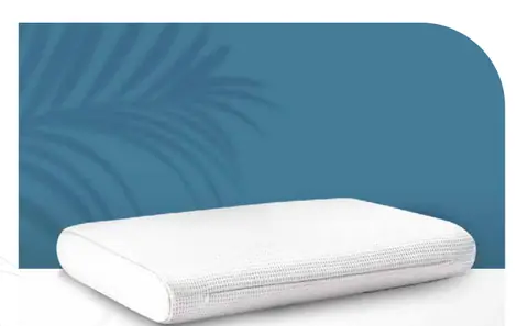 MM Foam Neckare pillow
