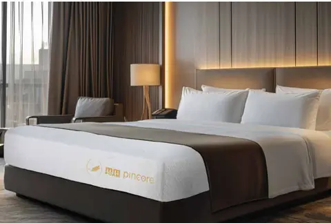 MM Foam Pincore mattress