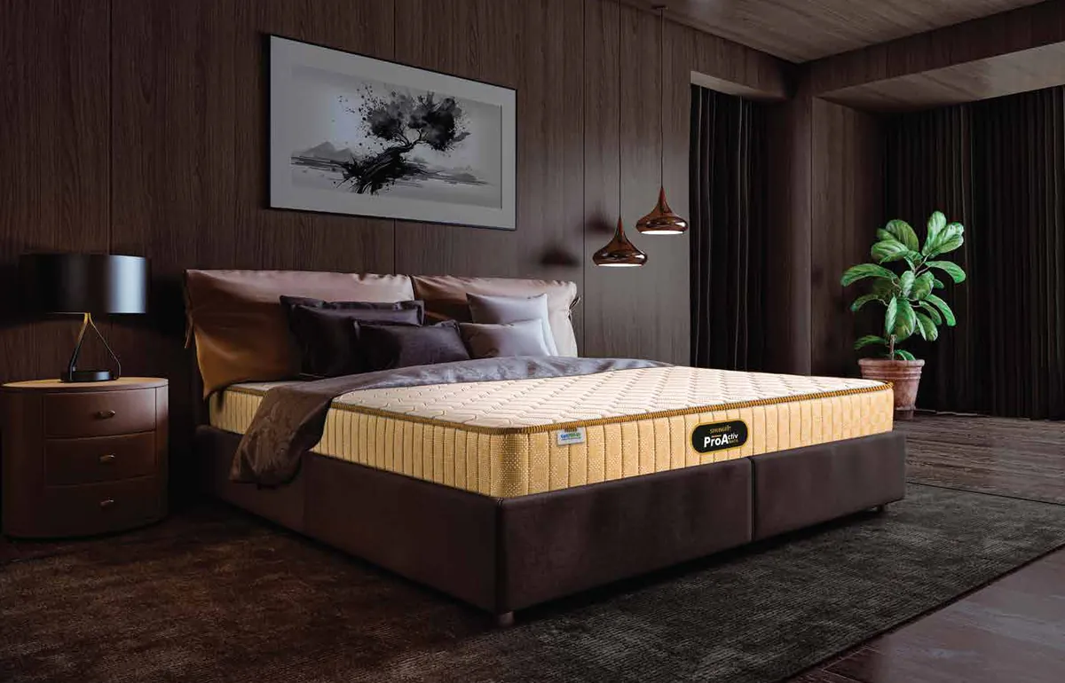 Springfit ProActiv Back mattress