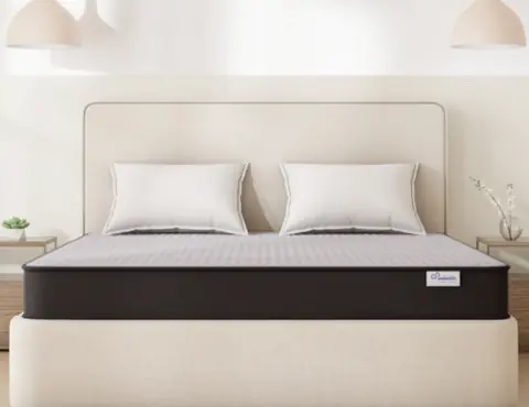 Wakefit BlissMax PureSleep Foam mattress