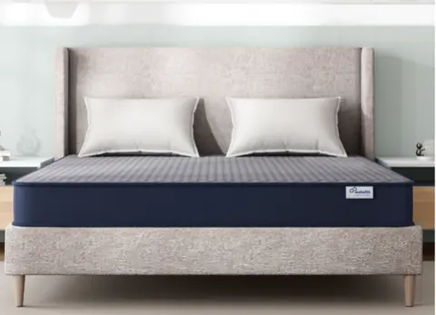 Wakefit DualSwitch PureSleep mattress