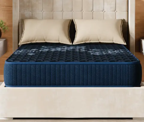 Wakefit ShapeSense Ortho Plus ActiveCool mattress