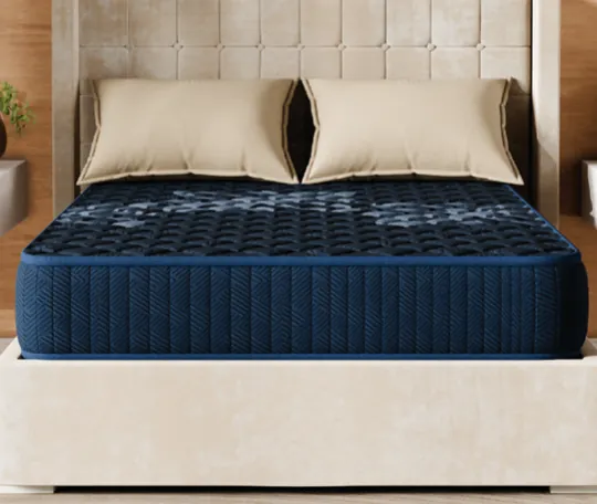 Wakefit ShapeSense Ortho Plus ActiveCool mattress